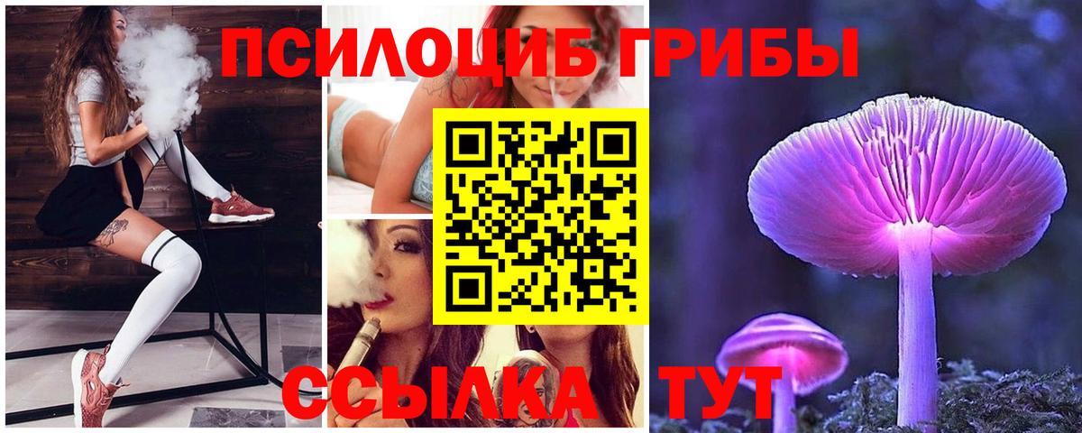 Псилоцибиновые грибы прущие грибы Ноябрьск