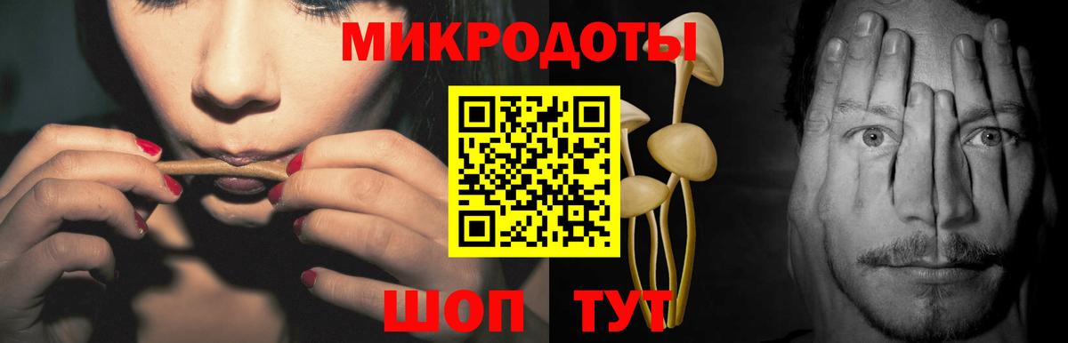 Псилоцибиновые грибы Psilocybe  Вход с VPN  Ноябрьск 