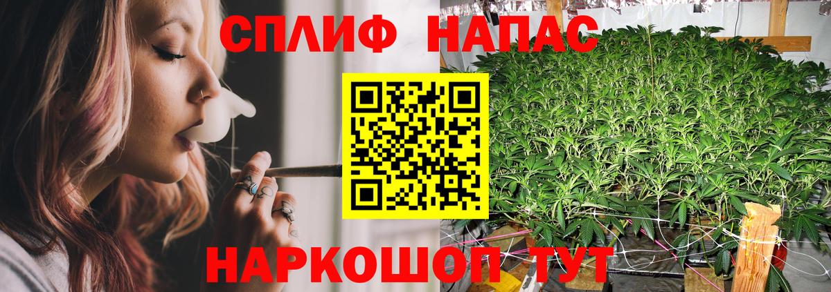 Бошки марихуана план Ноябрьск